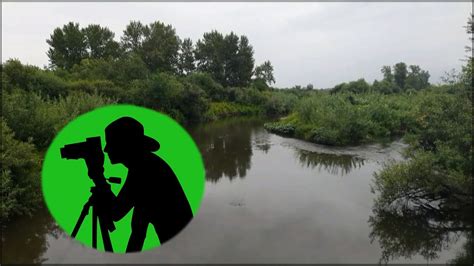 Тихий плеск воды и щебетание птиц / 8 часов расслабляющих звуков ...