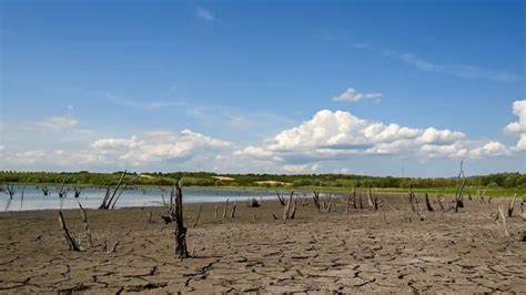 Hoy se celebra el Día Internacional contra el Cambio Climático