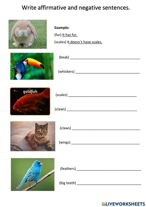 Describing Animals Interactive Exercise For Grade 4 Live Worksheets