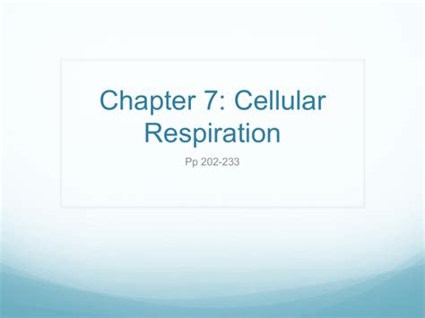 Chapter 7 Cellular Respiration