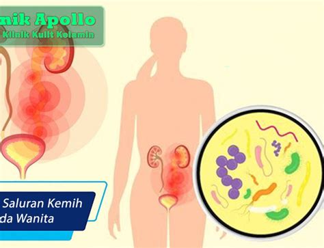 Tanda Dan Ciri Ciri Vaginitis Pada Wanita Klinik Apollo Jakarta