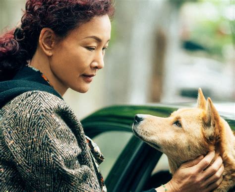 Crítica de Hachiko 2 Siempre a tu lado un emotivo y sencillo