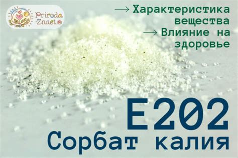 Сорбат калия Е202 – характеристика вещества и его влияние на здоровье
