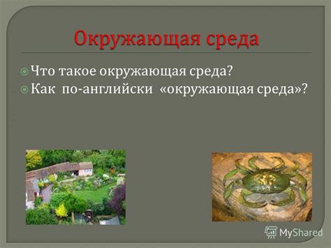 Презентация на тему: "Что такое окружающая среда ? Как по - английски ...