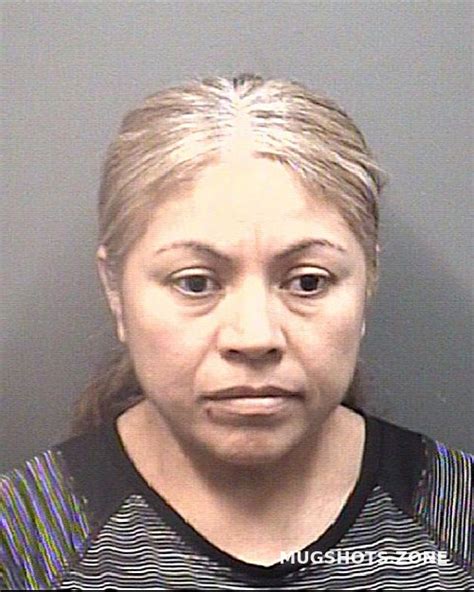 Pacheco Maria Rosaura Mejia Rowan County Mugshots Zone