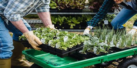 5 Hallmarks Of A Lousy Hydroponic Equipment Online Retailer