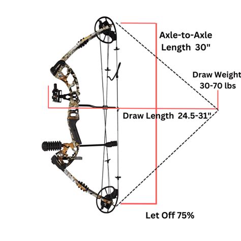 Creative XP Compound Bow An Overview Archery Explorer