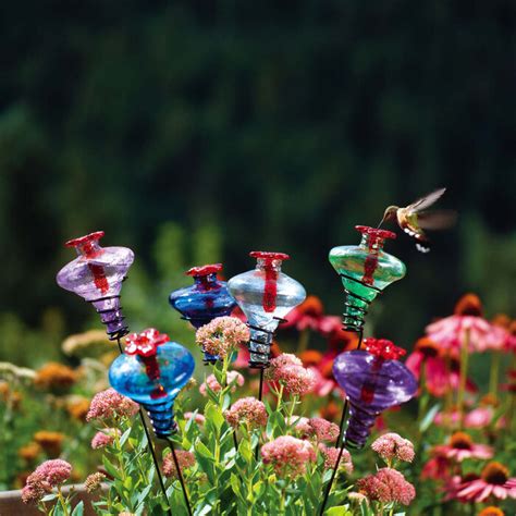 Hummingbird Feeder Tips - Yard Envy