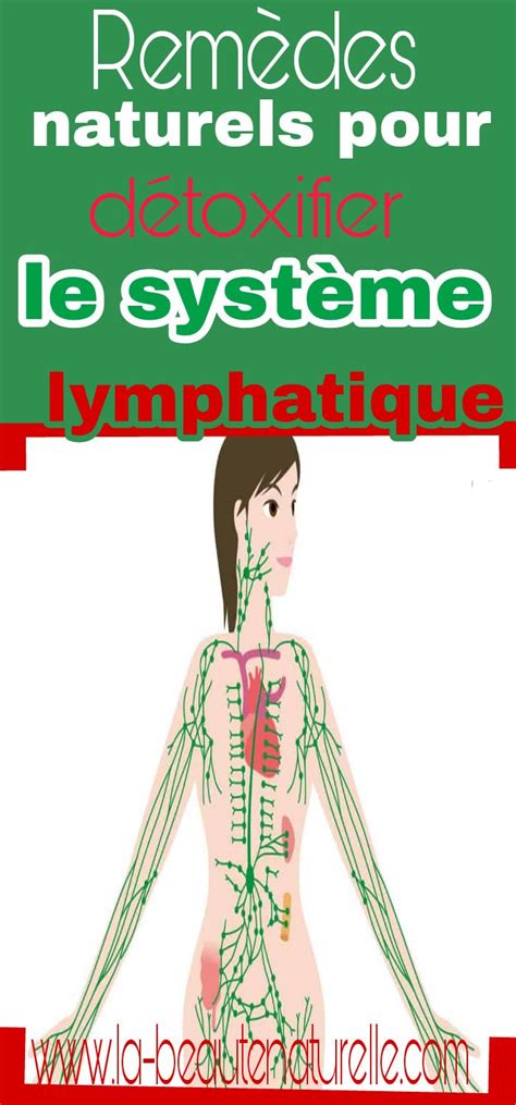 Rem Des Naturels Pour D Toxifier Le Syst Me Lymphatique Systeme