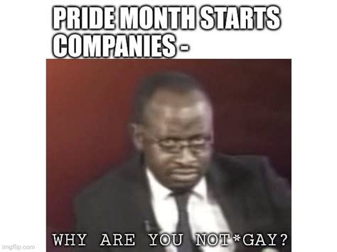 Why Are You Not Gay Imgflip