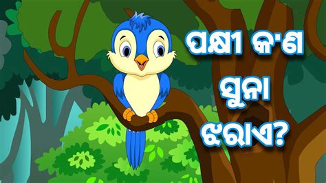 BOU RA GAPAPEDI 25 ସନ ଝରଉଥବ ପକଷ GOLDEN DROPLET STORY