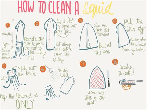 Formidable Tips About How To Clean Squid Settingprint