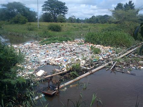 DaÑos Ecologicos Ambientales De Yondo Antioquia