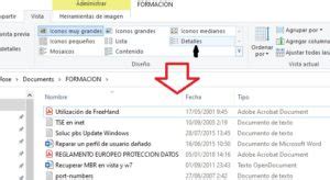 Vistas en el explorador de archivos Informática cotidiana
