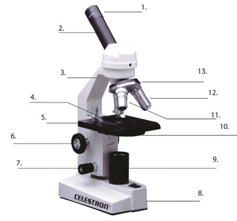 Unit Medical Forensics Trace Evidence Flashcards Quizlet