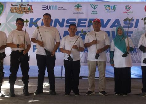 Peduli Lingkungan DLH PPU Gandeng PT Adhi Karya Tanam 1000 Mangrove