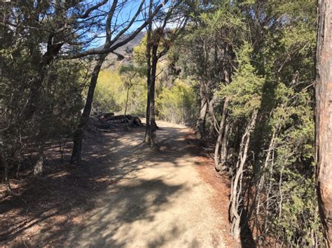 Wineglass Bay And Hazards Beach Circuit Walking Maps