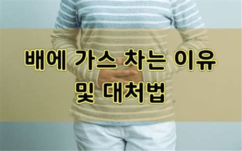 배에 가스 차는 이유 및 대처법 2023 행복한 건강 스트레스