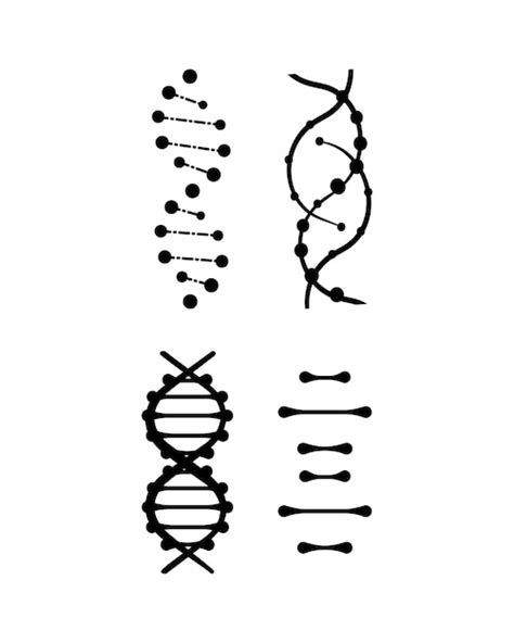 Premium Vector Set Of Dna Icons