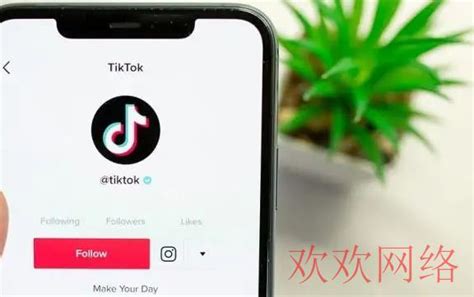 Tiktok评论区没有置顶功能？tiktok如何置顶评论 Tiktok账号购买平台