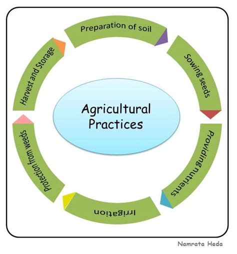 Flow Chart Of Agricultural Practices