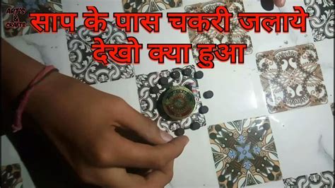 Diwali Experiment 🔥🔥 साप के साथ चकरी जलाई देखो क्या हुआ 🔥🔥 Youtube