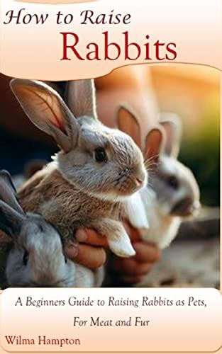 How To Raise Rabbits A Beginners Guide To Raising Rabbits As Pets For