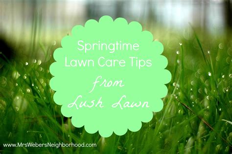 Springtime Lawn Care Tips From Lush Lawn Mrs Webers Neighborhood