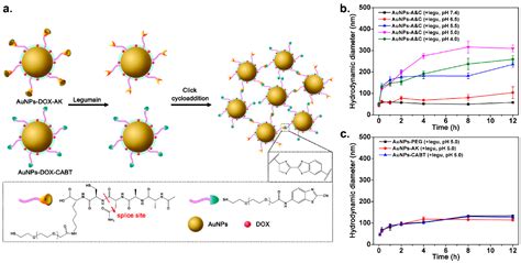 Nanomaterials Free Full Text Engineering The Interface Between Inorganic Nanoparticles And