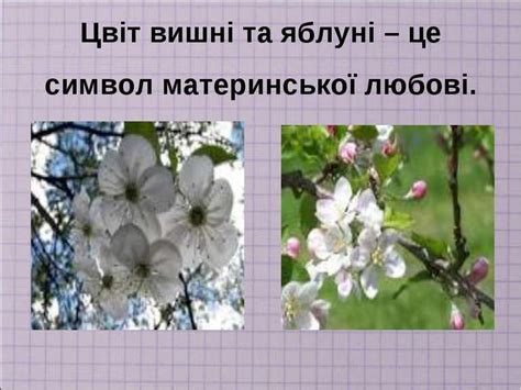 Цвіт вишні та яблуні – це символ материнської любові.