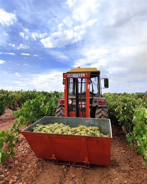 Zinio Bodegas En La Rioja Vinos D O Ca Rioja