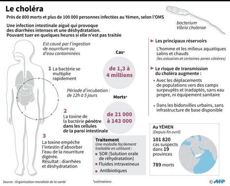 Choléra au Yémen plus de 100 000 cas suspects 789 morts selon l OMS