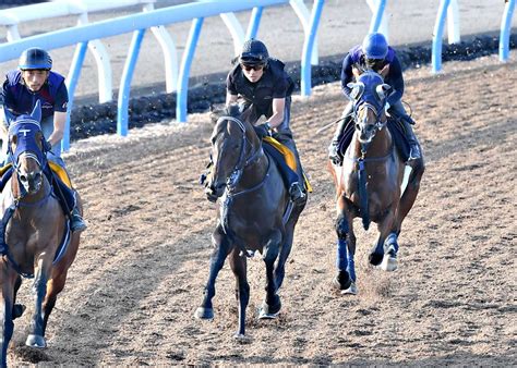 【宝塚記念1週前追い切り】ソールオリエンス復活へ向けてウッドでラスト10・8秒 手塚調教師「雰囲気はとてもいいです」 競馬ニュース・特集なら東スポ競馬