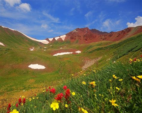 Wallpaper Landscape Mountains Flowers Hill Nature Grass Sky