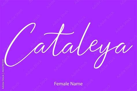 Cataleya Woman S Name Typescript Handwritten Lettering Calligraphy