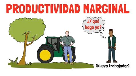 Descubre C Mo Se Calcula El Producto Marginal Del Trabajo Situam Os