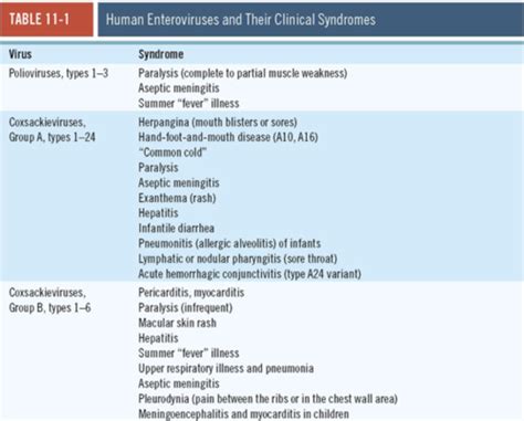 Virology Ch 8 Flashcards Quizlet