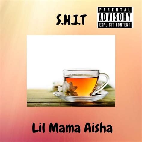 Lil Mama Aisha Shit Lyrics And Tracklist Genius