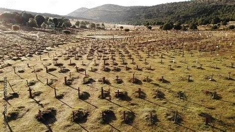 Sad Hill Cemetery In Burgos Spain Tourist Site Film Location Where