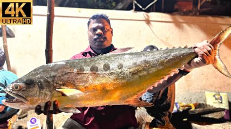 Kasimedu Speed Selvam Queen Trevally Fish Cutting K Video In