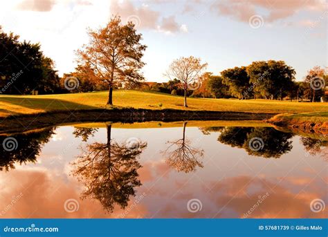 Sunset In A Golf Course Florida Stock Image Image Of Rays Green