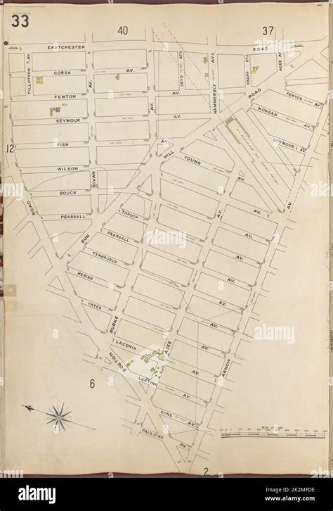 Cartographic Maps Lionel Pincus And Princess Firyal Map