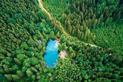 Premium Photo Aerial View Of Blue Colored Forest Lake In Poland