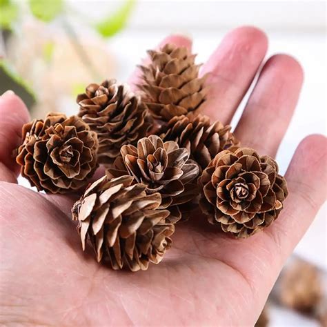 20pcs Attractive Fake Pine Cone Natural Decorative Diy Simulation