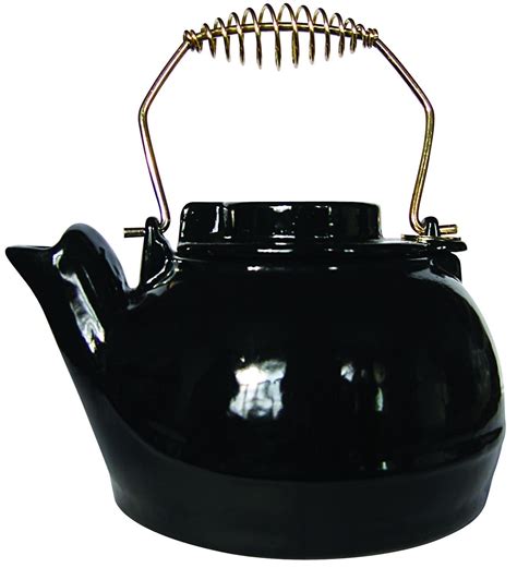 Best Tea Kettle For Wood Burning Stove The Best Home