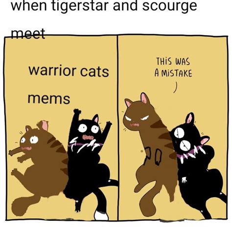 Warrior cat memes. | Warriors Amino