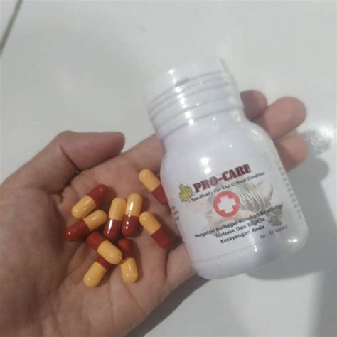 Jual OBAT KURA KURA SAKIT JKK PRO CARE ECERAN Shopee Indonesia