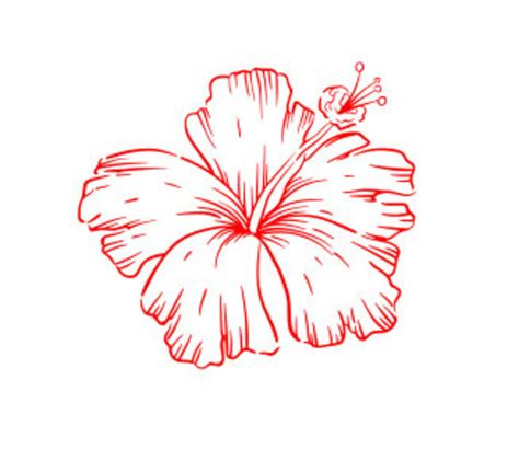 Hibiscus Stencil Reusable Adhesive Silkscreen Stencil Wood Etsy