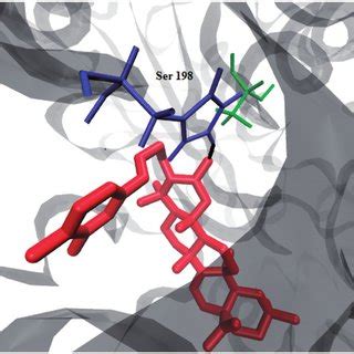 Binding Interaction Of Compound 1 With Active Site Residues Of TcAChE