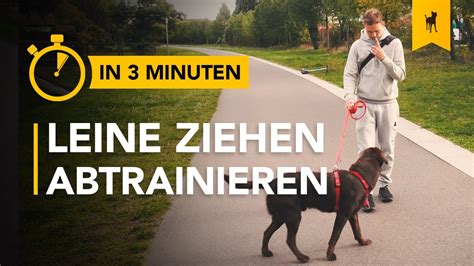 Entspannte Leinenf Hrung Ohne Ziehen Hundetraining In Minuten Youtube